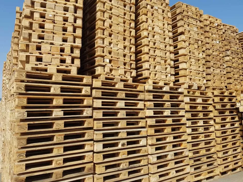 Pales de Turkuaz Patrón